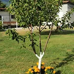Hébergement de vacances Adamidis