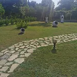 Adamidis * Paralía Skotínis