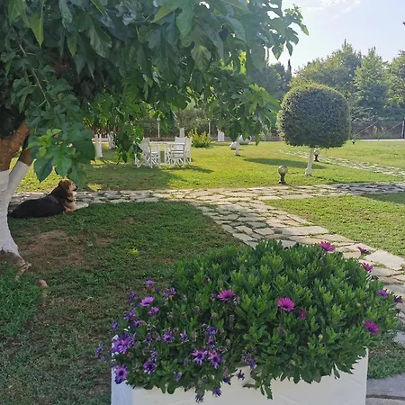 Adamidis