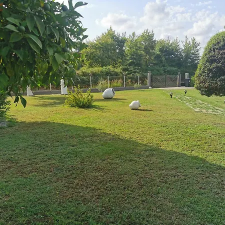 Hébergement de vacances Adamidis