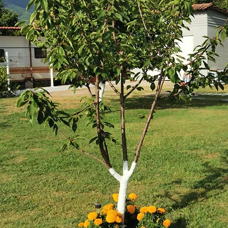 Tatil Evi Adamidis