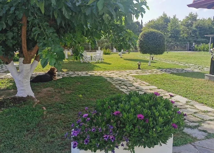 Adamidis